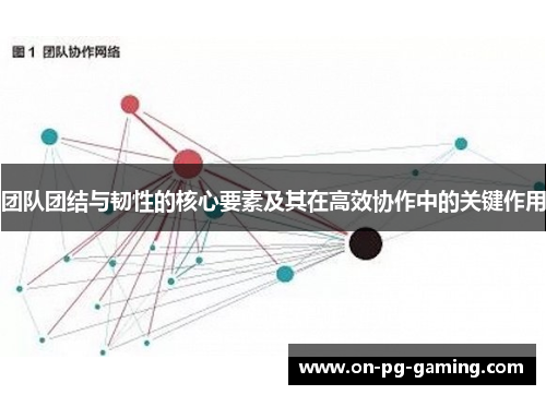 团队团结与韧性的核心要素及其在高效协作中的关键作用