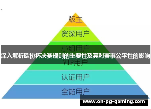 深入解析欧协杯决赛规则的重要性及其对赛事公平性的影响