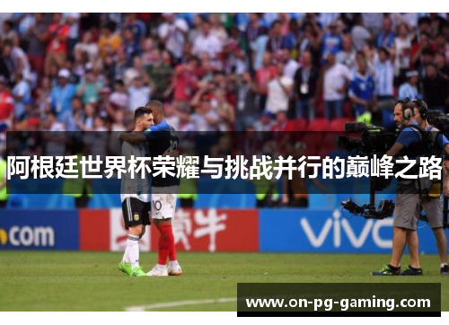 阿根廷世界杯荣耀与挑战并行的巅峰之路